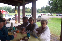 Annual Picnic
